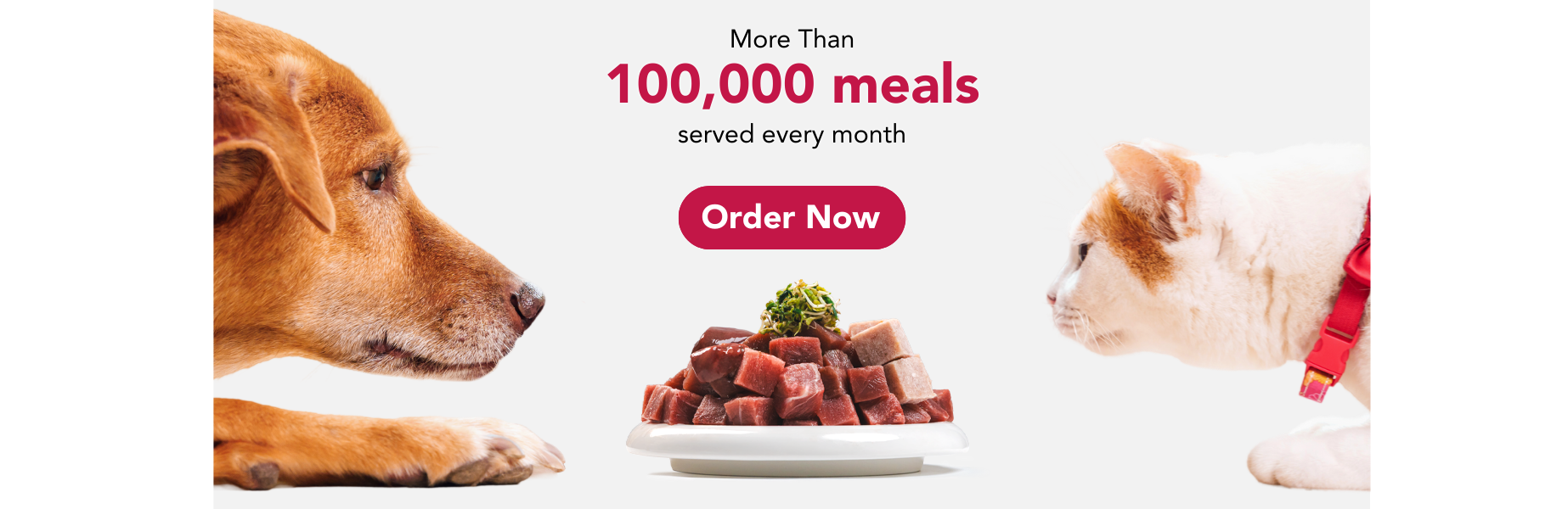 Fresh customised pet meals banner