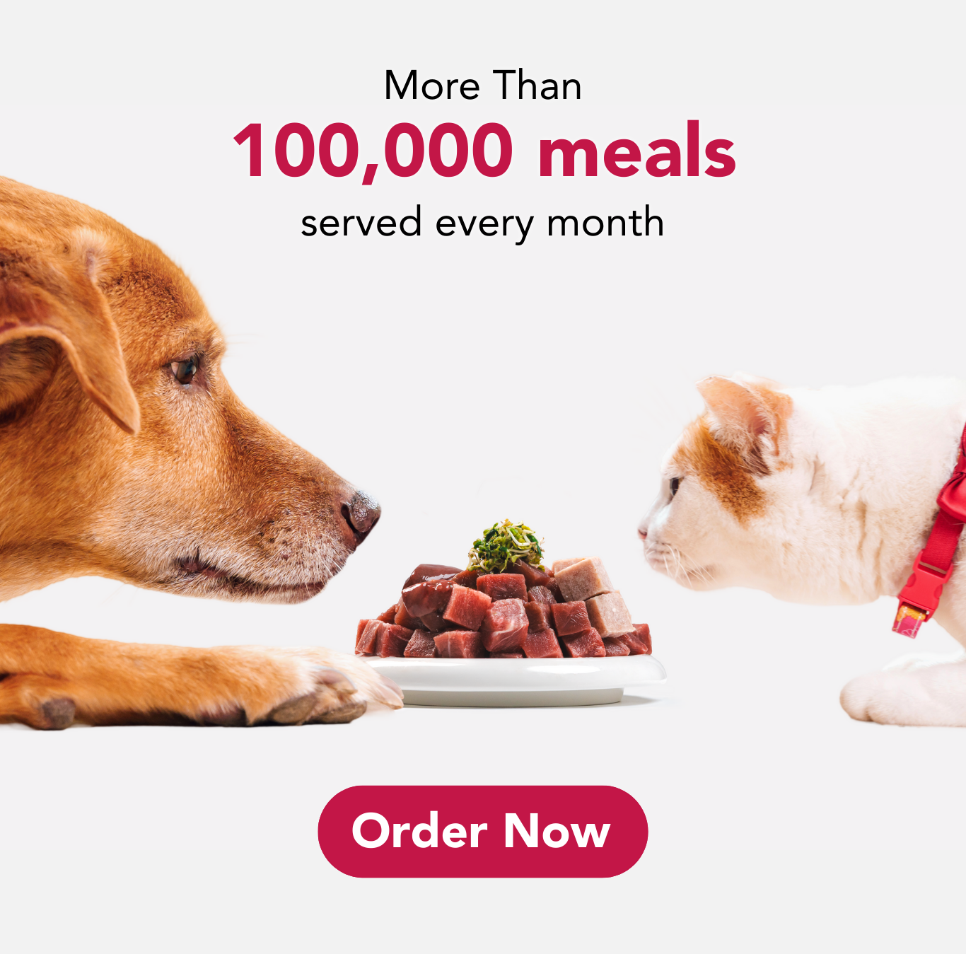 Fresh customised pet meals banner