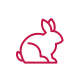 rabbit icon rabbit icon