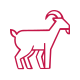 goat icon goat icon