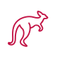 kangaroo icon kangaroo icon