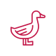 duck icon duck icon