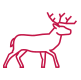 venison icon venison icon