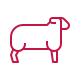 lamb icon lamb icon